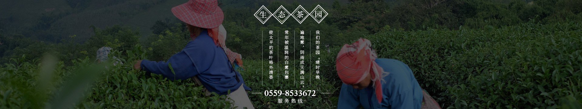 游’一条龙服务产业链