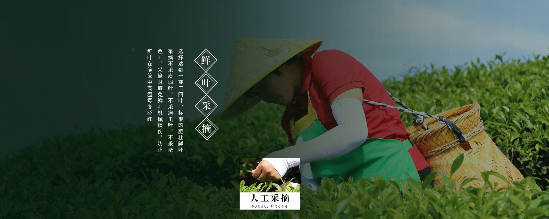 加盟热线