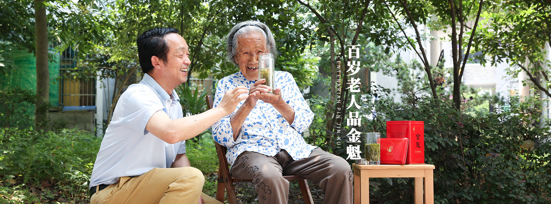 结合茶园旅游观光